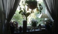 Summer view