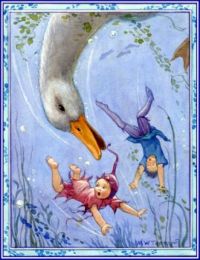 Seeing Fairies - The Duck (mini)