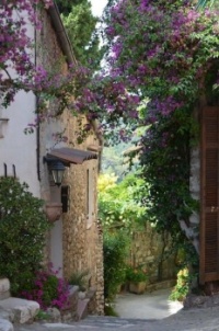 maison ombragée
