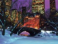 Winter in New York