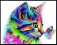 ~Colourfull Kitty~