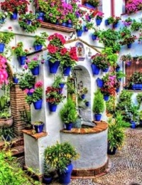 Delightful Pots of Flowers, Greece