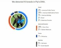 Pip DNA results