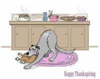 Happy Thanksgiving!!
