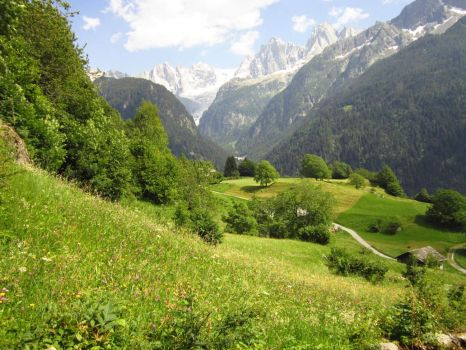 Green meadows near Soglio in Val Bregaglia, alpine valley in Switzerland