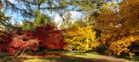 Autumn at the English National Arboretum.