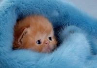 cuteness 13