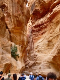 Into Petra we go...