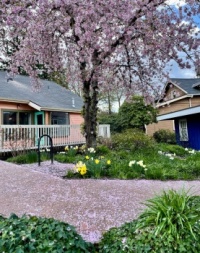 Spring in Issaquah WA