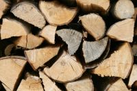 Holz