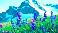 Mountain Spring