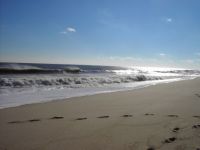 Footprints on the Jersey Shore