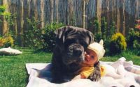 Hug a baby