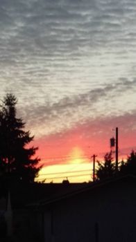 Sunset in Skagit Valley