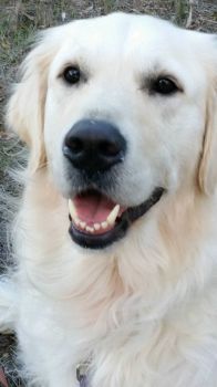 Buster