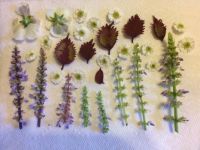 Creating a palette with treasures from nature
