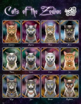 cat zodiac puzzle