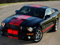 2007 Shelby GT500