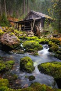 Old Water Mill