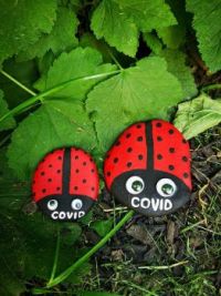 covid bugs