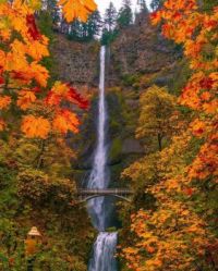 Multnomah Falls Oregon