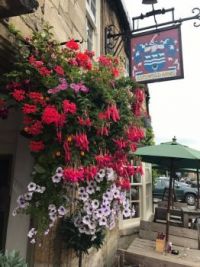 Cotswold Flowers