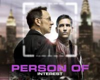 Person Of Interest 3