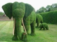 Beautiful Yard....