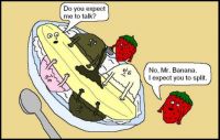 banana bond