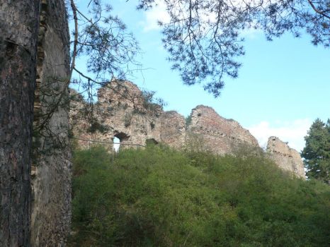 Zrícenina Vrskamýk - ruins Vrskamyk