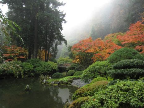 Fall Japanese garden