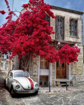 Volkswagen Beetle on Naxos Island