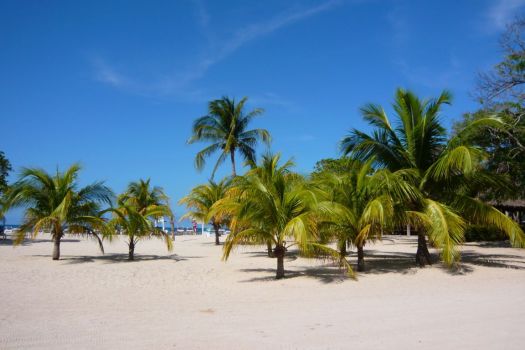 Palms & Sand Beach, Virgin Island NP