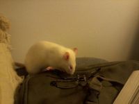 Catherine investigating