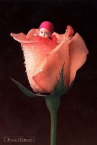 Child in a rose.
