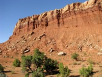 Red Cliffs And Green Foliage In Capitol Reef National Park