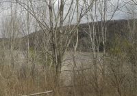 Lackawannna park scene