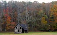 Old-House-and-Black-Walnut-Tree-in-Pleasant-Valley-Gaddistown-Union-County-Georgia