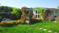 Allotment gardens