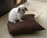 So Stinkin’ Cute!