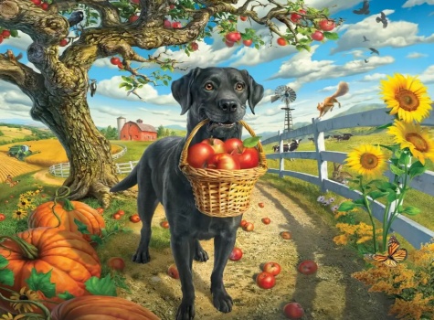 Doggie Apple Picking