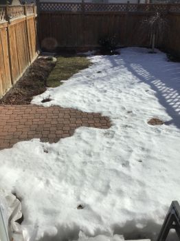 Spring is finally coming Hopefully