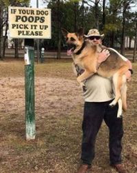 Dog & Poop Sign