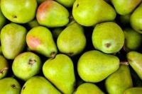 Oregon pears