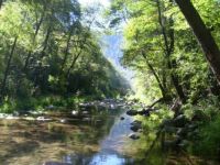 Peaceful Creek