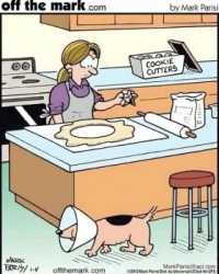 Wobblybear's Fun Stuff (wbfs) - Who made the perfect circle in the pastry and where did it disappear to? (The cone of Blame?) 😀