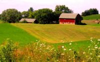 Old Farm