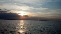Summer Sunset