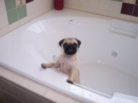 Are you sure I have to take a bath?