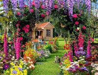 30-305061_summer-garden-flower-wallpaper-free-hd-for-desktop